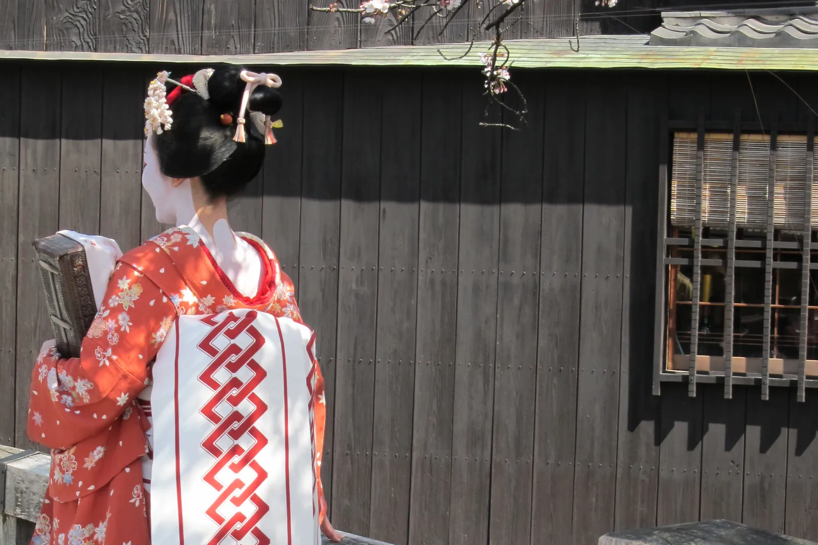 A woman dressed as a maiko, seen from behind in an orange floral kimono and a long white obi, beside a wooden bridge rail in Gion; a visitor in a dressed-up outfit, not a working maiko